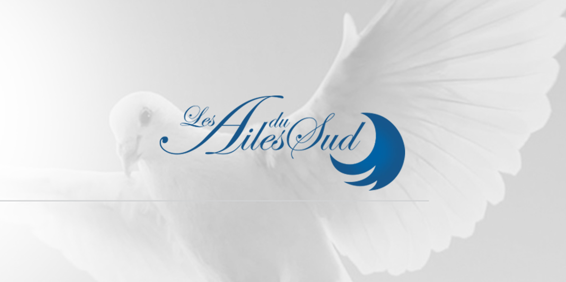 Les Ailes du Sud